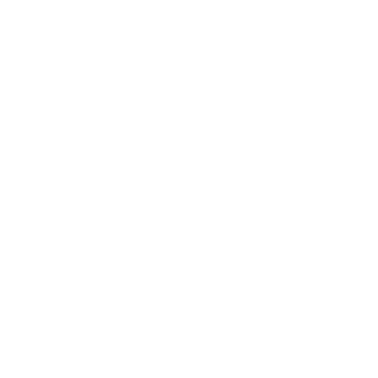 Instituto SANE